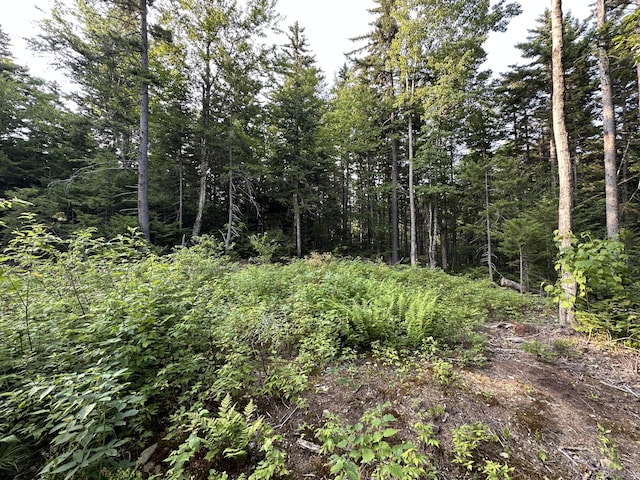 M08LOT32 Main St, Sandy River Plt, ME 04970 - photo 10