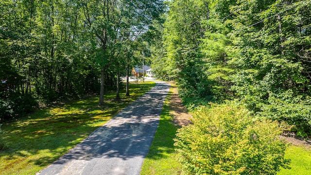 16 Winding Way, Standish, ME 04084 - photo 73