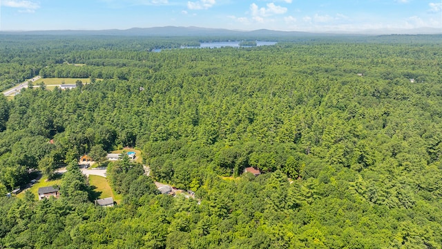 16 Winding Way, Standish, ME 04084 - photo 78