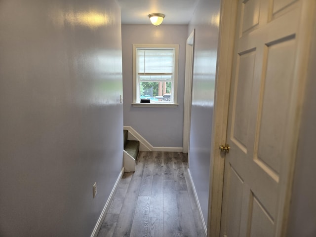 370 Mccard Rd, Corinth, ME 04427 - photo 11