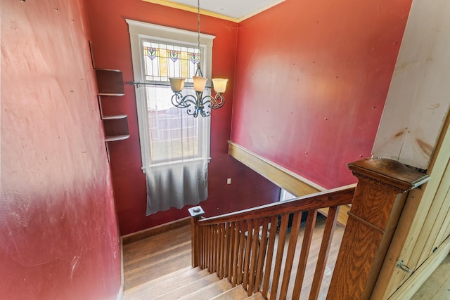 62 Warren St, Rockland, ME 04841 - photo 56