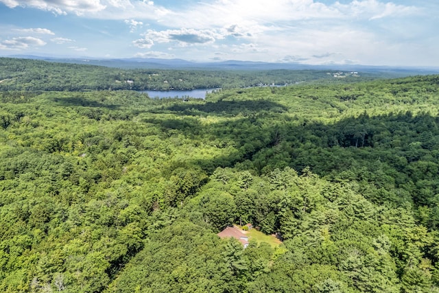435 Allen Pond Rd, Greene, ME 04236 - photo 58