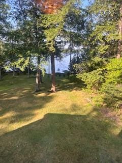144 Loon Cv, Stetson, ME 04488 - photo 29