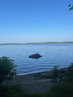144 Loon Cv, Stetson, ME 04488 - photo 28