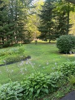 144 Loon Cv, Stetson, ME 04488 - photo 31