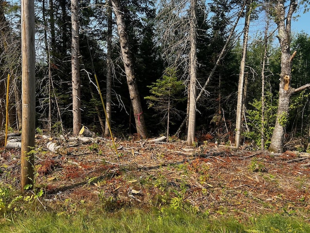 M10L13 US Route 1st Rte, Amity, ME 04471 - photo 7
