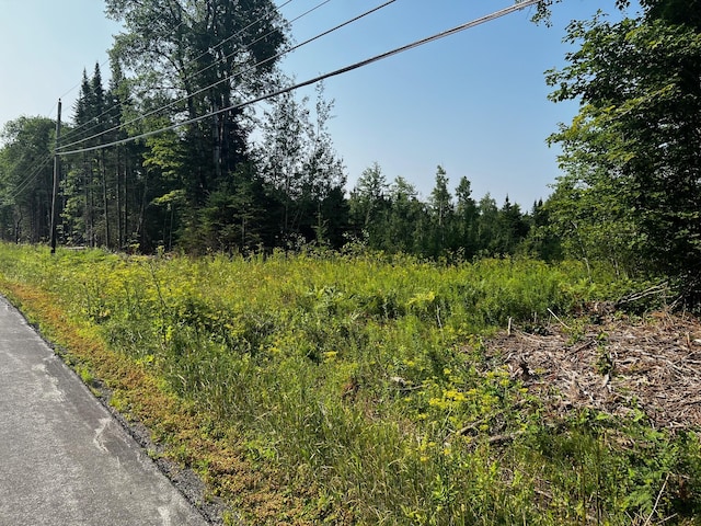M10L13 US Route 1st Rte, Amity, ME 04471 - photo 3