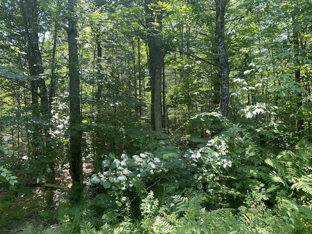 MAP1LOT25 Taylor Rd, Athens, ME 04912 - photo 2