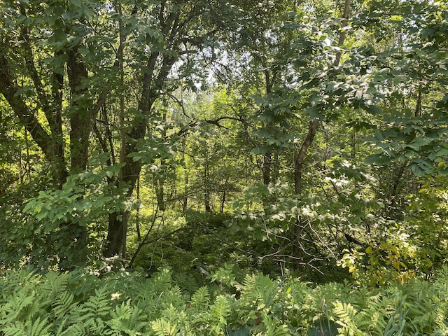 MAP1LOT25 Taylor Rd, Athens, ME 04912 - photo 1