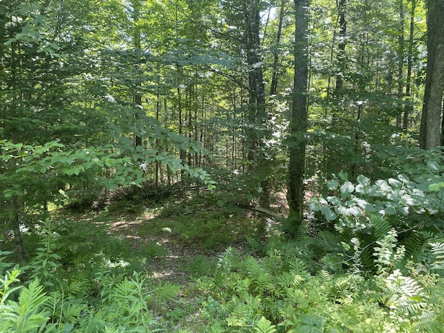 MAP1LOT25 Taylor Rd, Athens, ME 04912 - photo 4