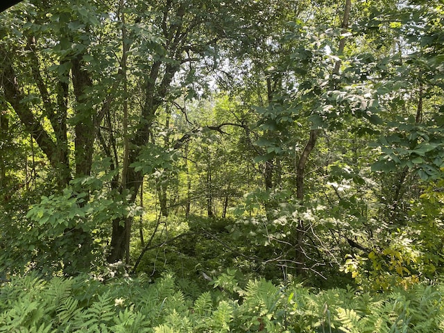 MAP1LOT25 Taylor Rd, Athens, ME 04912 - photo 5