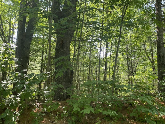 MAP1LOT25 Taylor Rd, Athens, ME 04912 - photo 6
