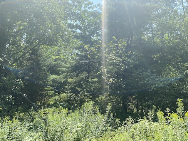 MAP1LOT25 Taylor Rd, Athens, ME 04912 - photo 7
