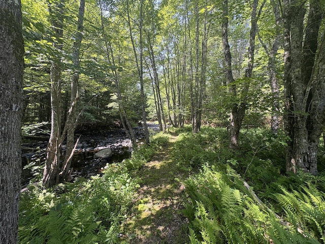 286 Upper Hostile Valley Rd, Liberty, ME 04949 - photo 15