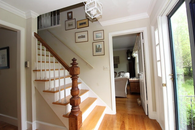 11 Tozier St, Belfast, ME 04915 - photo 6