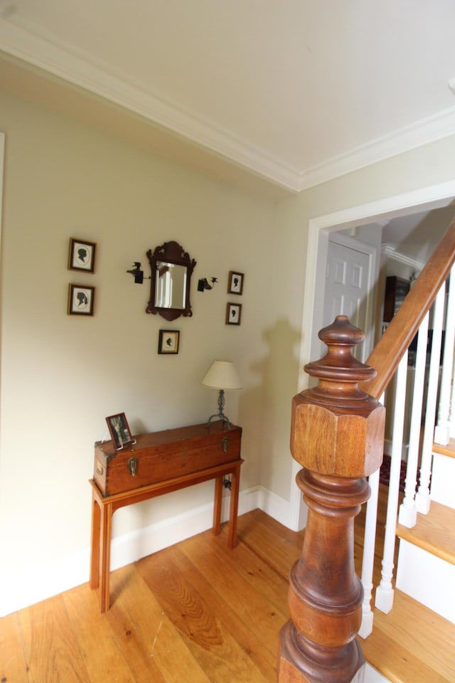 11 Tozier St, Belfast, ME 04915 - photo 7
