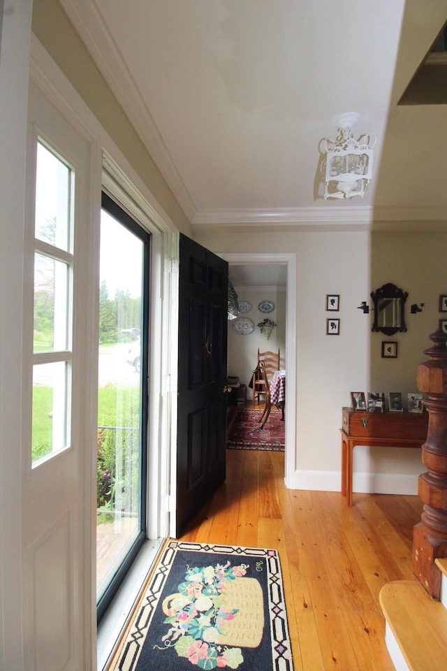 11 Tozier St, Belfast, ME 04915 - photo 8