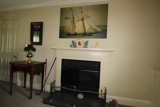 11 Tozier St, Belfast, ME 04915 - photo 41