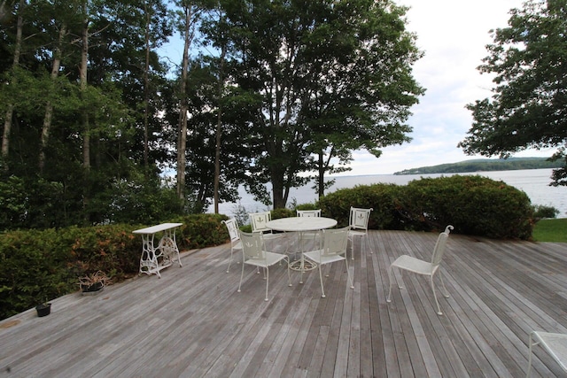 11 Tozier St, Belfast, ME 04915 - photo 70
