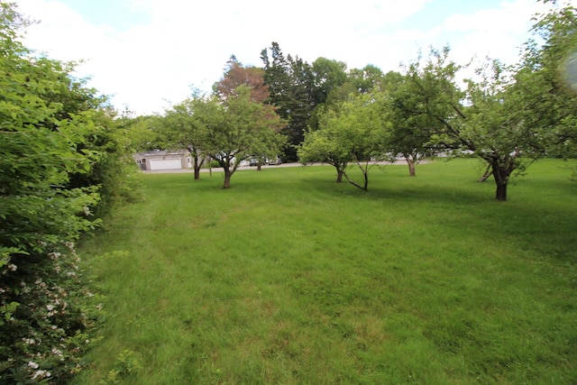 11 Tozier St, Belfast, ME 04915 - photo 79