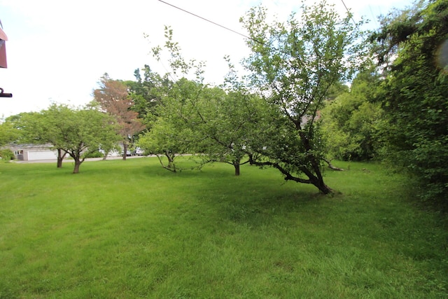 11 Tozier St, Belfast, ME 04915 - photo 80
