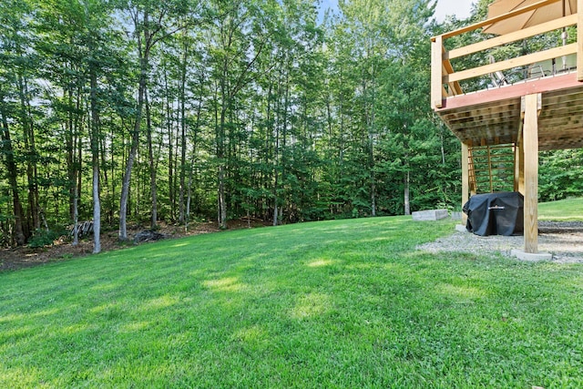 6 Molly Ln, Sebago, ME 04029 - photo 32