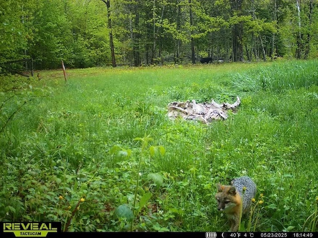 80 Flinn Rd, Newburgh, ME 04444 - photo 101
