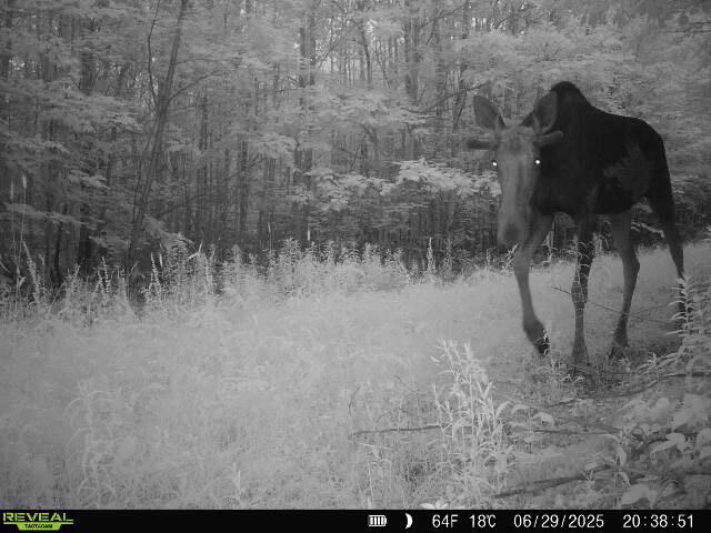 80 Flinn Rd, Newburgh, ME 04444 - photo 97