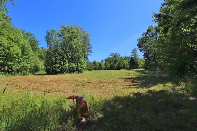 80 Flinn Rd, Newburgh, ME 04444 - photo 14