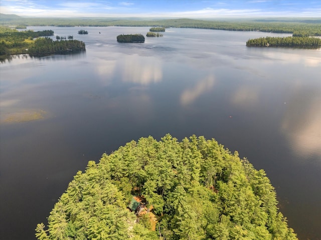 1174 Cove Rd, Seboeis Plt, ME 04448 - photo 70