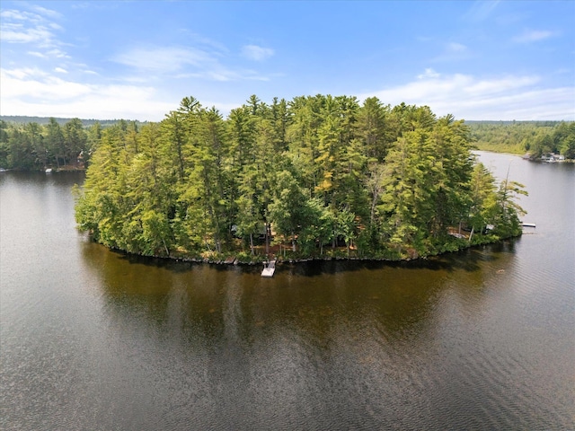 1174 Cove Rd, Seboeis Plt, ME 04448 - photo 71