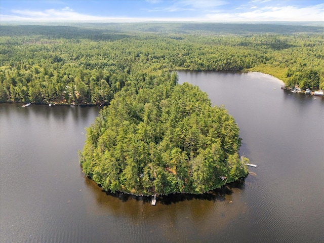 1174 Cove Rd, Seboeis Plt, ME 04448 - photo 72