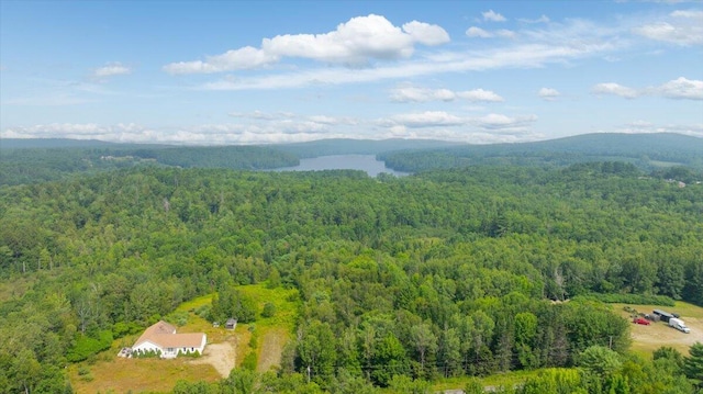 721 Rte 202, Monmouth, ME 04236 - photo 10