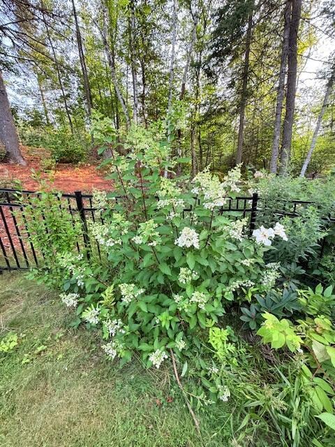 23 Wild Acres Dr, Hollis, ME 04042 - photo 42