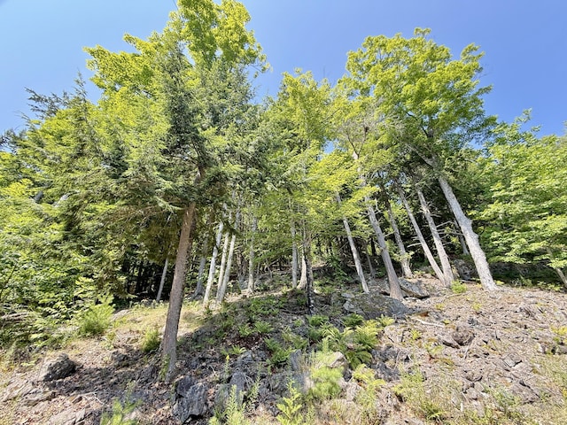 325 Lower Dedham Rd, Holden, ME 04429 - photo 49