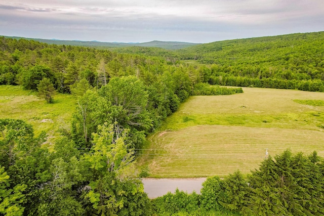 MR11L33 Cross Rd, Avon, ME 04966 - photo 5