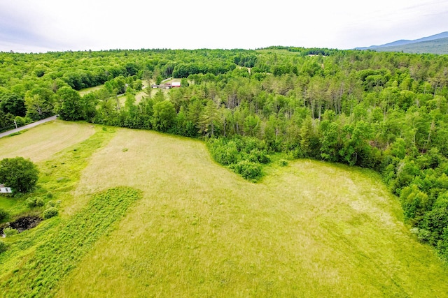 MR11L33 Cross Rd, Avon, ME 04966 - photo 11