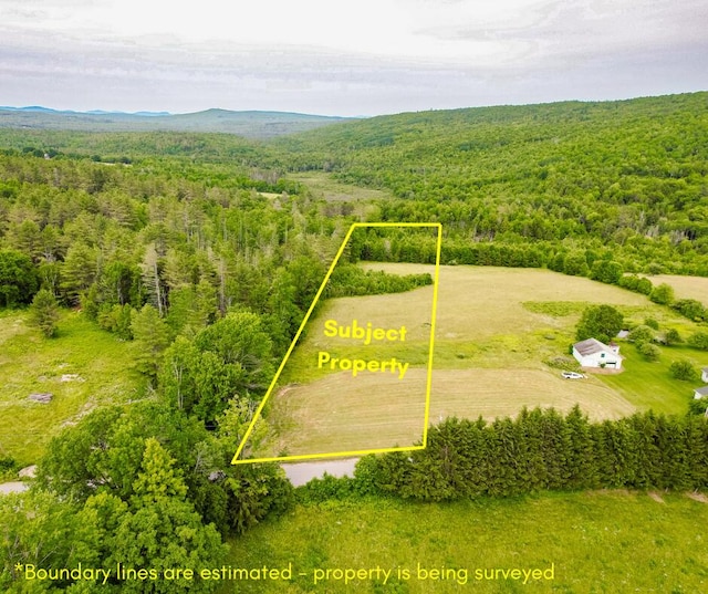 MR11L33 Cross Rd, Avon, ME 04966 - photo 4