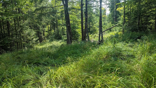 M15L17 Quincy Woods Rd, Anson, ME 04911 - photo 2