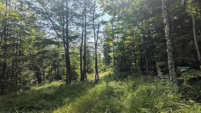 M15L17 Quincy Woods Rd, Anson, ME 04911 - photo 3