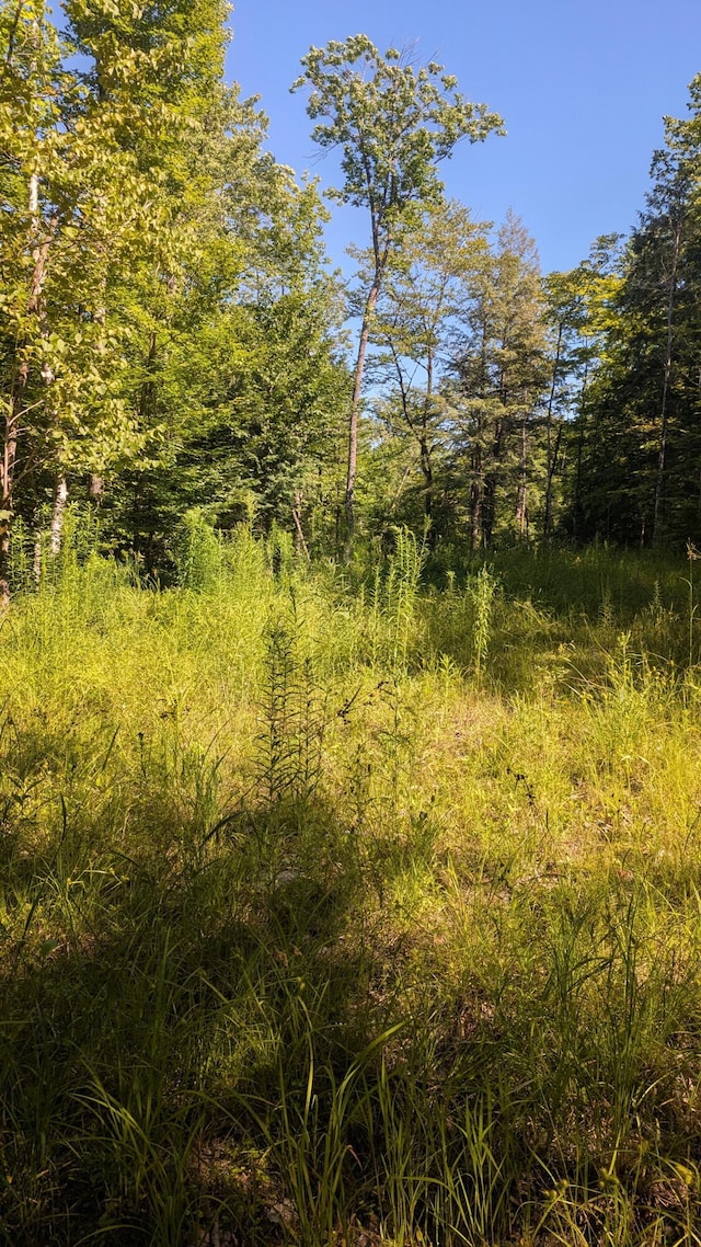 M15L17 Quincy Woods Rd, Anson, ME 04911 - photo 4