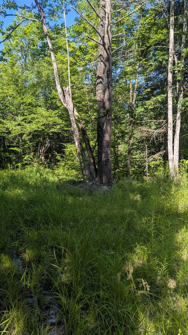 M15L17 Quincy Woods Rd, Anson, ME 04911 - photo 6