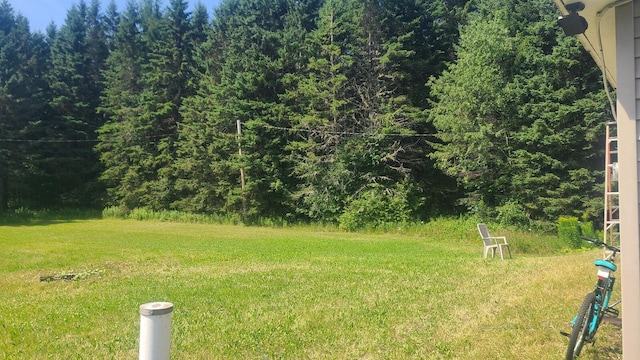 275 Boundary Line Rd, Bridgewater, ME 04735 - photo 14