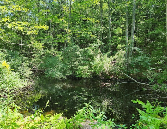 30 Cram Rd, Standish, ME 04084 - photo 28