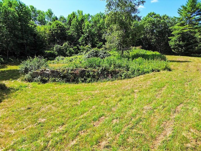 0 Lesperance Rd, Albion, ME 04901 - photo 36
