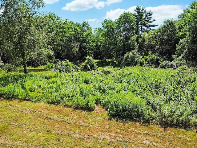 0 Lesperance Rd, Albion, ME 04901 - photo 39