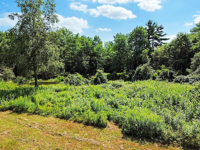 0 Lesperance Rd, Albion, ME 04901 - photo 41