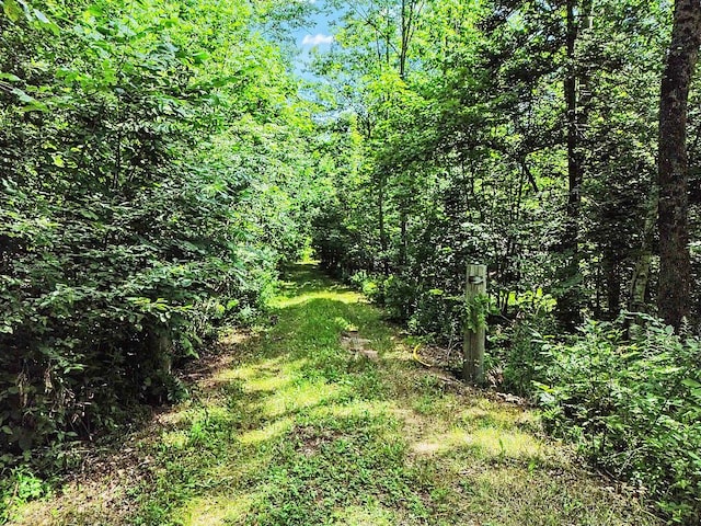0 Lesperance Rd, Albion, ME 04901 - photo 26