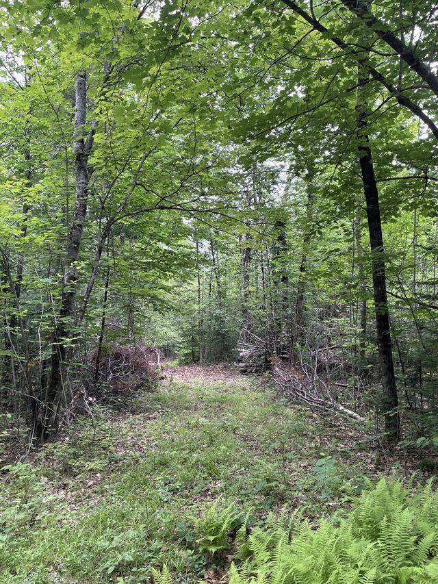 0 Lesperance Rd, Albion, ME 04901 - photo 16