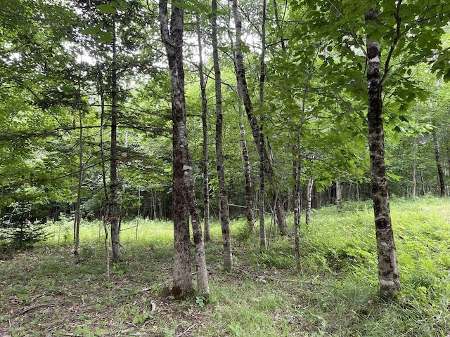 0 Lesperance Rd, Albion, ME 04901 - photo 10